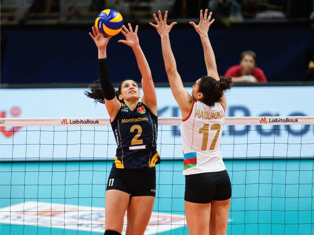 伊朗取男篮 伊朗取男篮